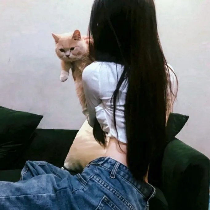 舒克与桃花 在线观看封面