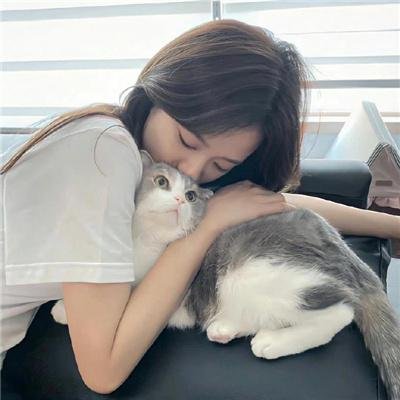 生之柳 在线观看封面